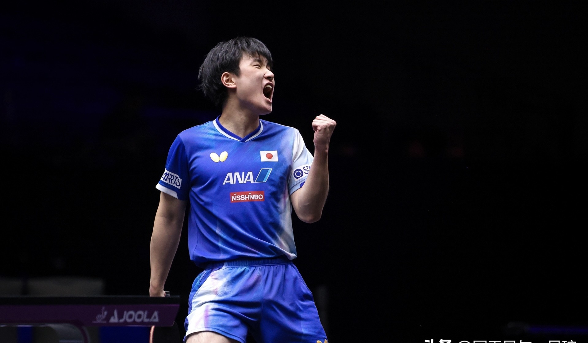 韩国队横扫波兰队,张本智和状态火热 韩国队横扫波兰队,张本智和状态火热