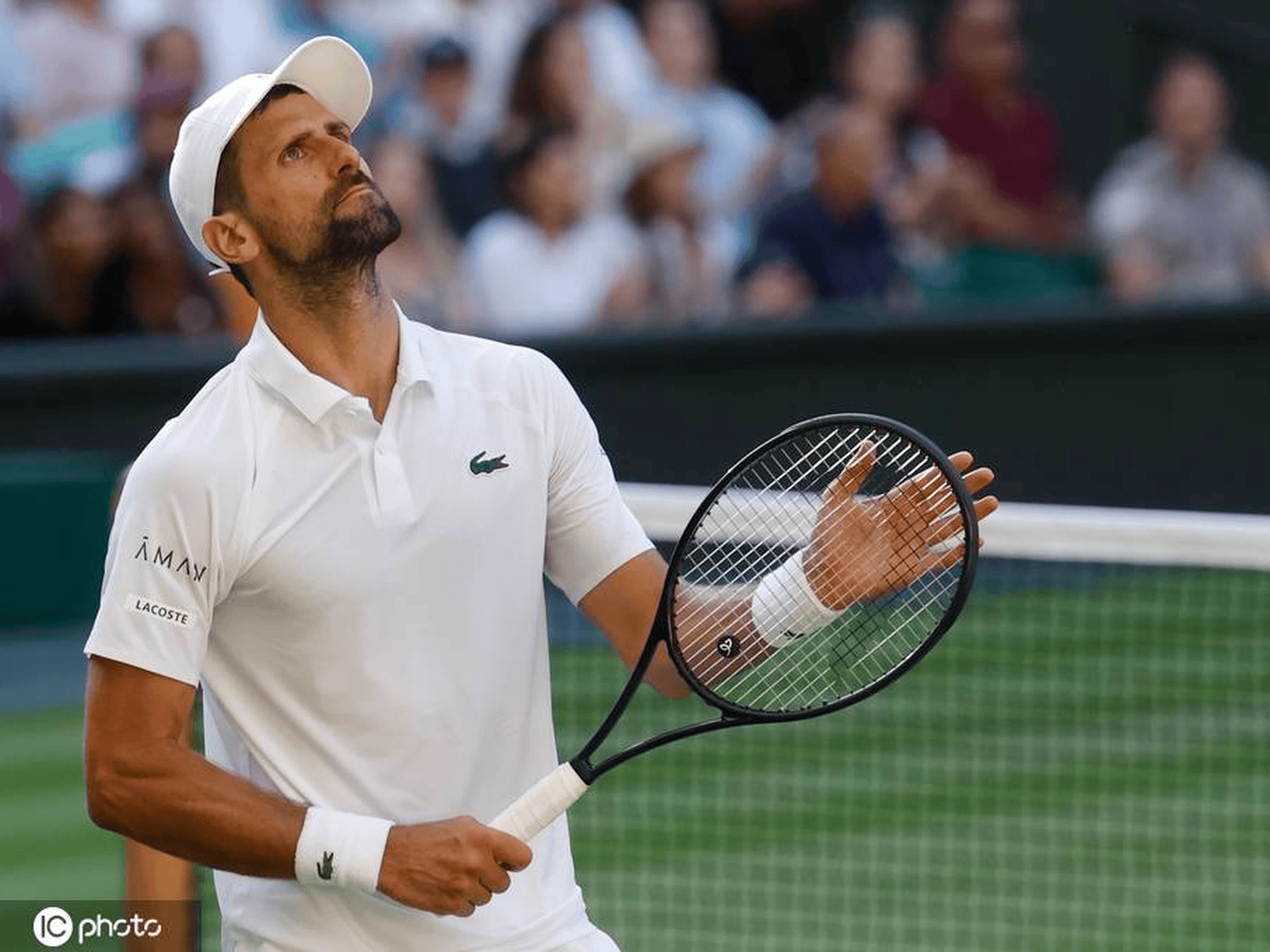 温网横扫ATP总决赛，德约科维奇点燃赛场