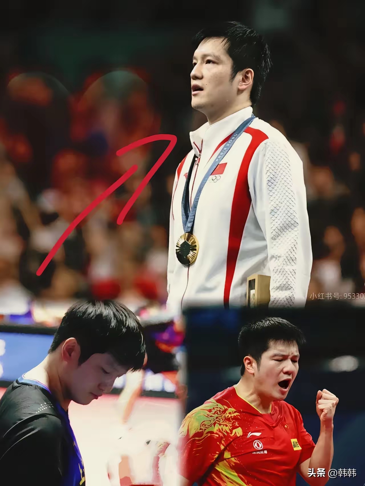 中国队完胜奥地利队，樊振东刷新纪录